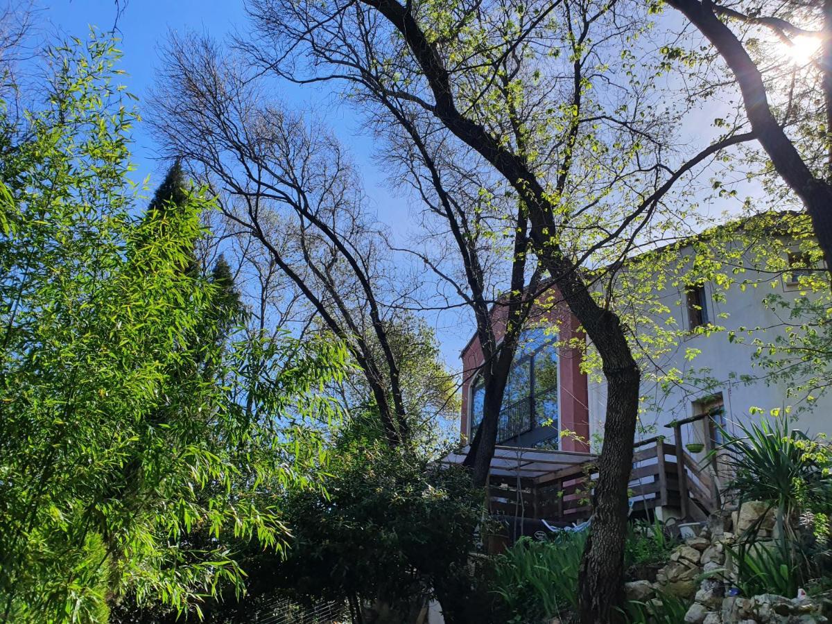 Chambres D'Hotes Le Bois Des Frenes Montarnaud ภายนอก รูปภาพ